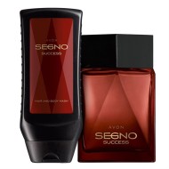 Набор Avon Segno Success