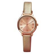 Женские наручные кварцевые часы "Перри"