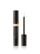 Маскирующее средство Perfecting Concealer™